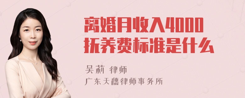 离婚月收入4000抚养费标准是什么