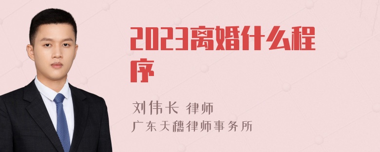 2023离婚什么程序