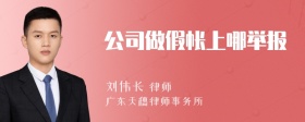 公司做假帐上哪举报