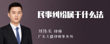 民事纠纷属于什么法