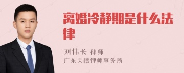 离婚冷静期是什么法律