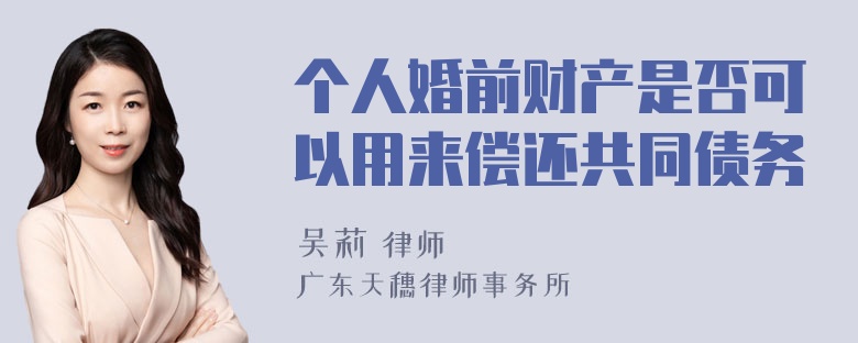 个人婚前财产是否可以用来偿还共同债务