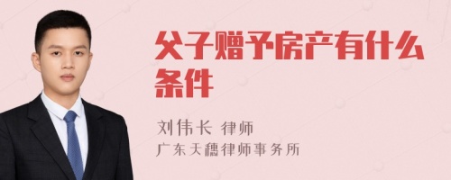 父子赠予房产有什么条件