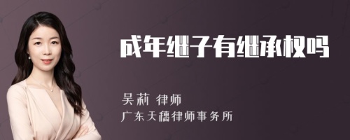 成年继子有继承权吗