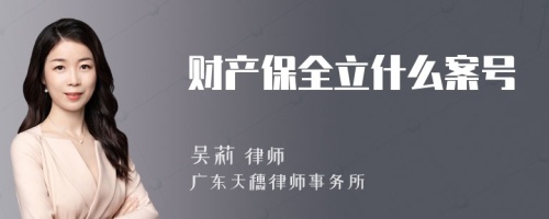 财产保全立什么案号