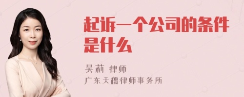 起诉一个公司的条件是什么