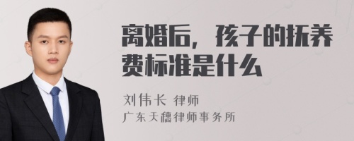 离婚后，孩子的抚养费标准是什么