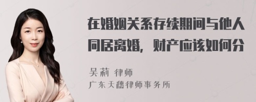 在婚姻关系存续期间与他人同居离婚，财产应该如何分