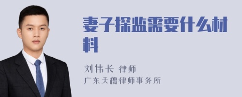 妻子探监需要什么材料