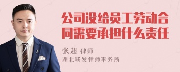 公司没给员工劳动合同需要承担什么责任