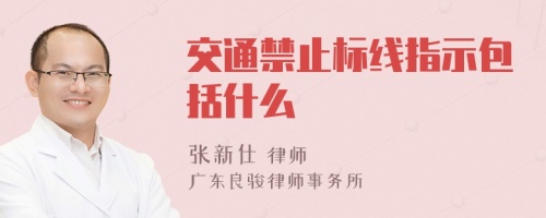 交通禁止标线指示包括什么