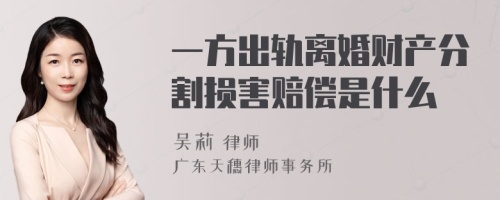 一方出轨离婚财产分割损害赔偿是什么