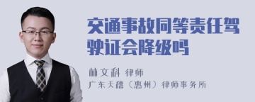 交通事故同等责任驾驶证会降级吗