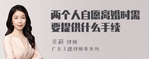 两个人自愿离婚时需要提供什么手续