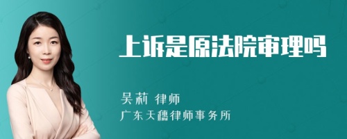 上诉是原法院审理吗