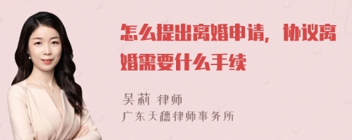 怎么提出离婚申请，协议离婚需要什么手续