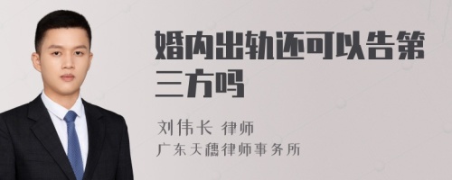 婚内出轨还可以告第三方吗