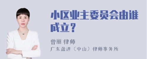 小区业主委员会由谁成立？