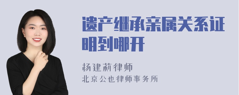 遗产继承亲属关系证明到哪开