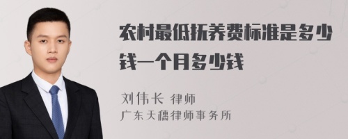 农村最低抚养费标准是多少钱一个月多少钱