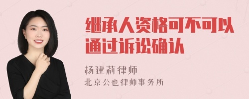 继承人资格可不可以通过诉讼确认