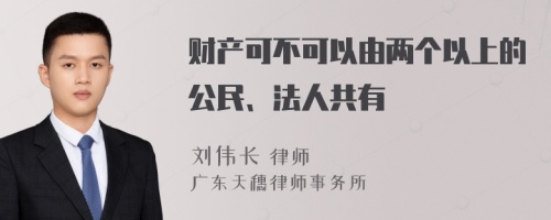 财产可不可以由两个以上的公民、法人共有