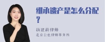 继承遗产是怎么分配？