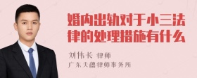 婚内出轨对于小三法律的处理措施有什么