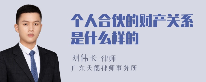 个人合伙的财产关系是什么样的