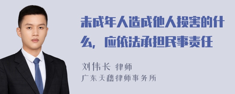 未成年人造成他人损害的什么，应依法承担民事责任