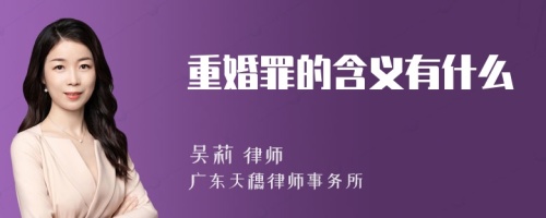 重婚罪的含义有什么