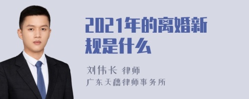 2021年的离婚新规是什么