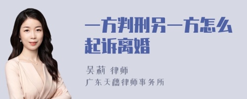 一方判刑另一方怎么起诉离婚