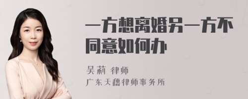 一方想离婚另一方不同意如何办