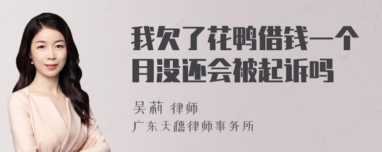 我欠了花鸭借钱一个月没还会被起诉吗