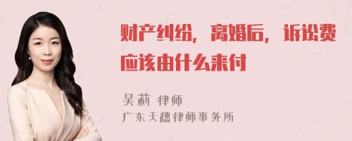 财产纠纷，离婚后，诉讼费应该由什么来付