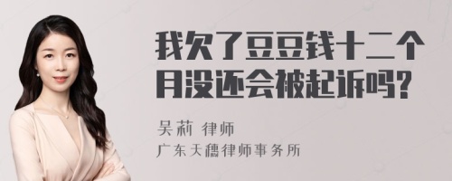 我欠了豆豆钱十二个月没还会被起诉吗?