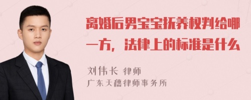 离婚后男宝宝抚养权判给哪一方，法律上的标准是什么