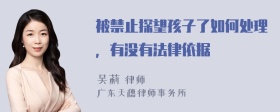 被禁止探望孩子了如何处理，有没有法律依据