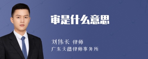 审是什么意思