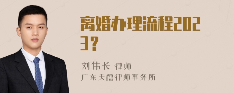 离婚办理流程2023？