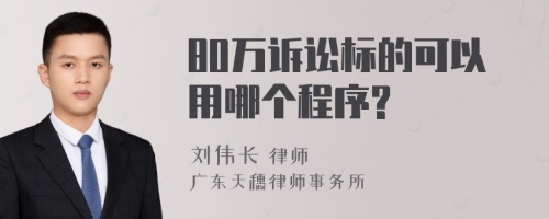 80万诉讼标的可以用哪个程序?