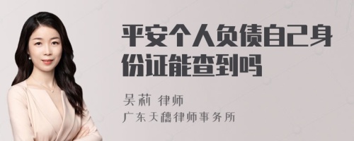 平安个人负债自己身份证能查到吗