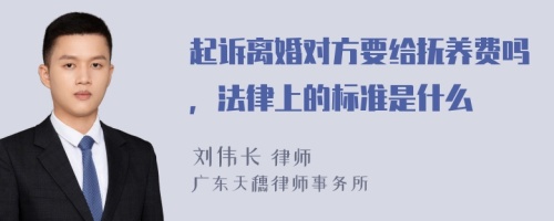 起诉离婚对方要给抚养费吗，法律上的标准是什么