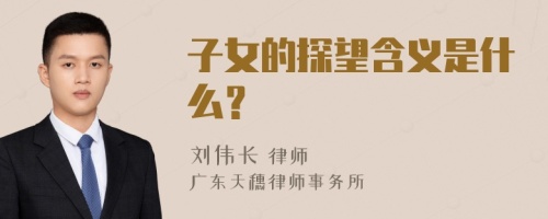 子女的探望含义是什么？