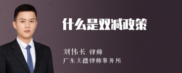 什么是双减政策