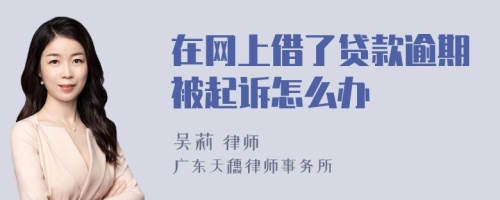 在网上借了贷款逾期被起诉怎么办