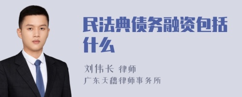 民法典债务融资包括什么