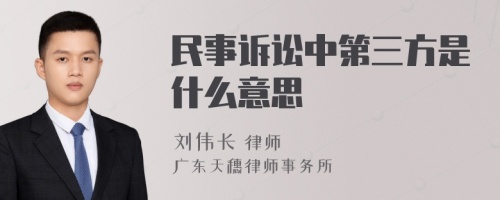 民事诉讼中第三方是什么意思