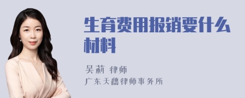 生育费用报销要什么材料